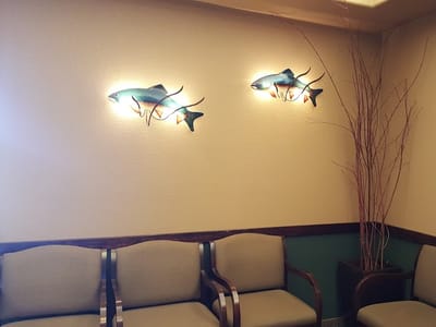 Fall River Valley Dentist - McArthur