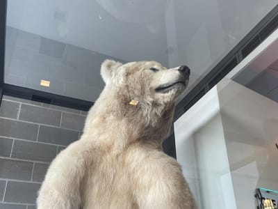 Family Dentist Anchorage