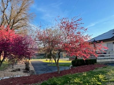 Family Dentistry of Neosho