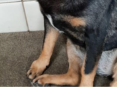 Family Dentistry Of West Bloomfield