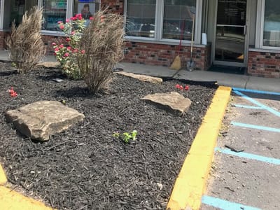 Family Dentistry of Weston, PLLC