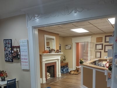 Fingerlakes Smiles: Robert Bialko DMD