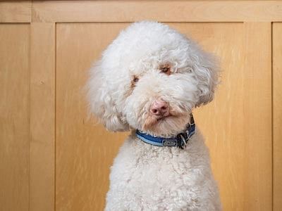 Fireweed Family Dentistry