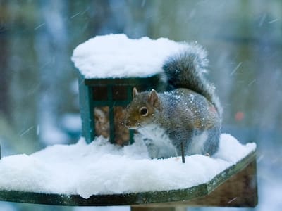 Fisher Distinctive Dentistry