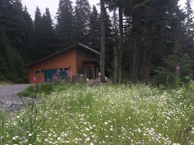 Fjords Dental Clinic, LLC