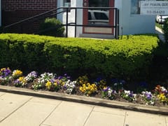 Floral Park Dentist