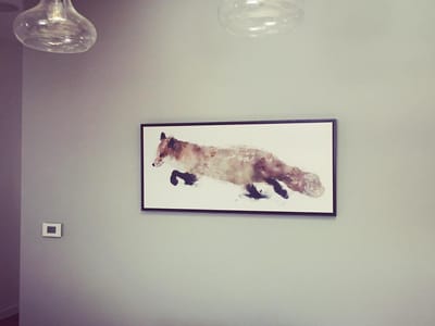 Forest Family Dentistry North