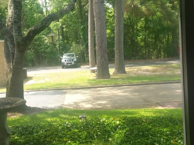 Forest Square Dental