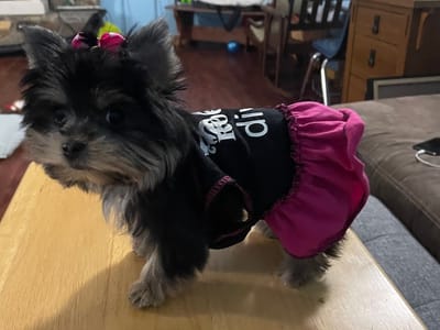 Forsyth Dental Center