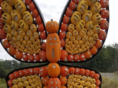 Frank Merendino, DDS