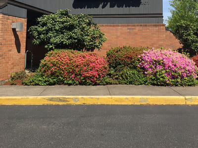 Gentle Dental North Eugene