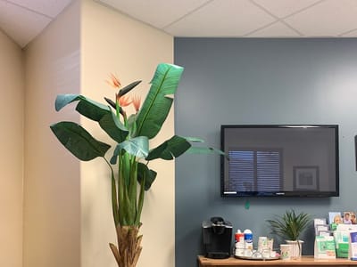 Gentle Dental Oracle