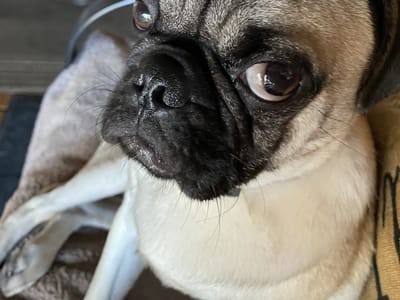 Gentle Family & Implant Dentistry of Laredo - Rolando A. Guerra Jr. DDS & Associates