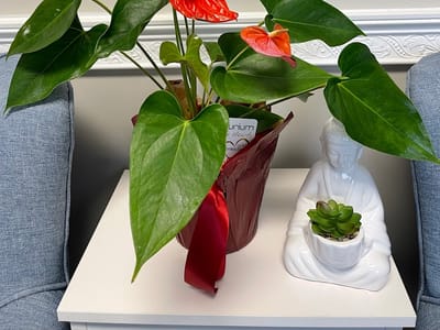 Glenmoore Family Dentistry