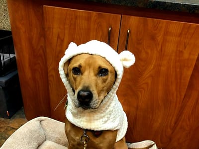 Good Health Dental - Dentist Solon OH