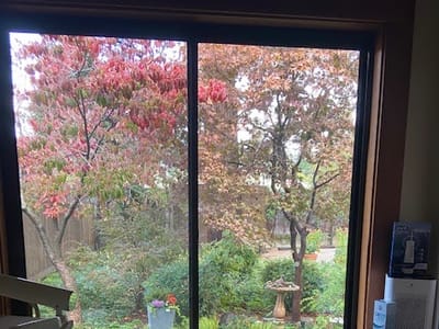 Grass Valley Dentistry: James C. Wallace, DDS