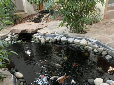 Gray Cosmetic & Family Dentistry