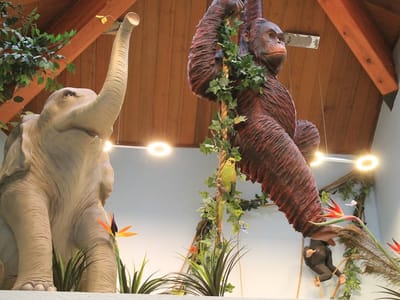 Great Falls Pediatric Dentistry