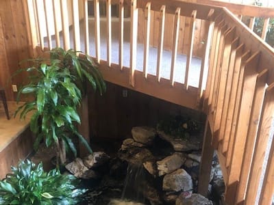 Guest, Guest & Guest Dentistry