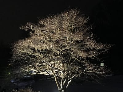 Guest, Guest & Guest Dentistry