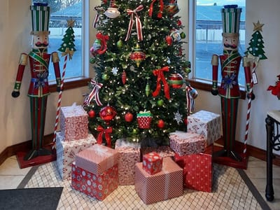 Hamilton Sanford DMD