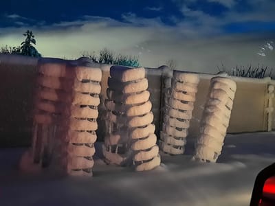 Hamilton Sanford DMD