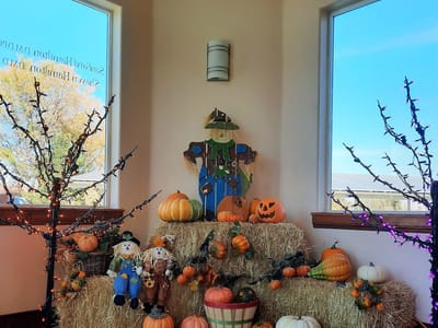 Hamilton Sanford DMD