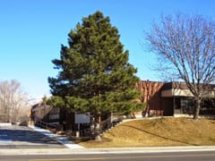 Haslam Stephen D DDS PLLC