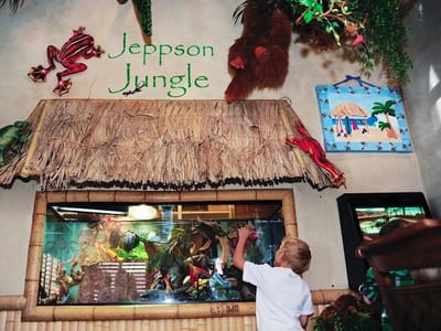 Hatch and Jeppson Dental