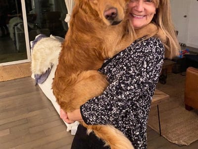 Health & Healing Dentistry