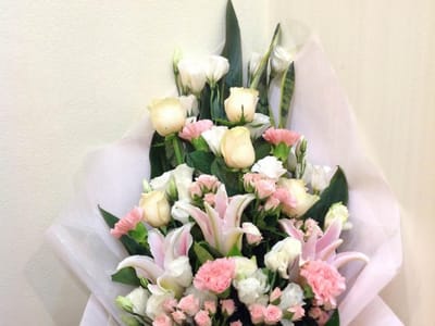 Healthy Smile Dentistry