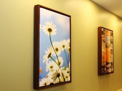 Healthy Smiles of St. Louis