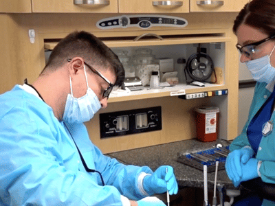 Hermitage Dental Group