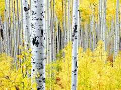 High Country Dentistry