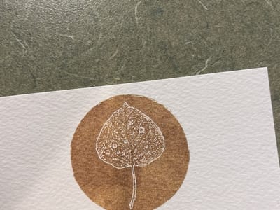 High Country Dentistry