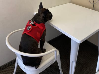 High Desert Smiles Dentistry