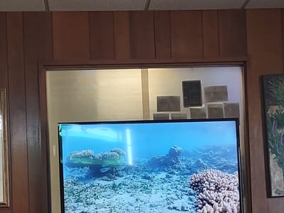 Holliday Dental Associates