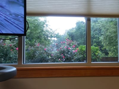 Hood Dental Care - Denham Springs