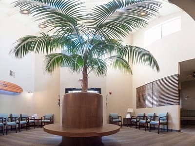 Impressions Dentistry