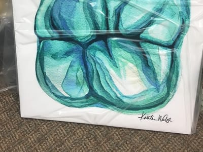 Inside the Smile - Oak Lawn Dentist