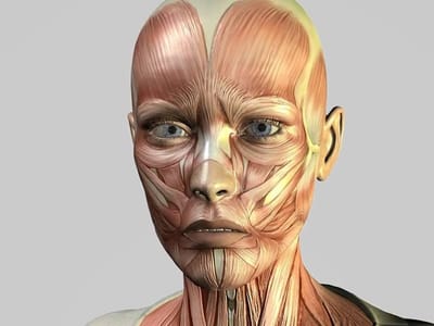 Integrated Dentistry