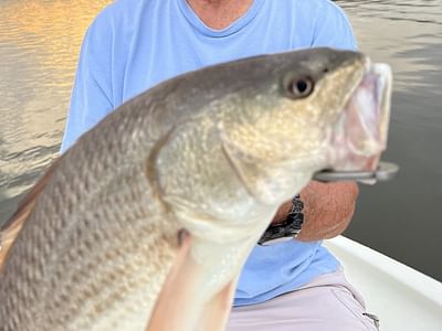 Iroquois Family & Cosmetic Dentistry