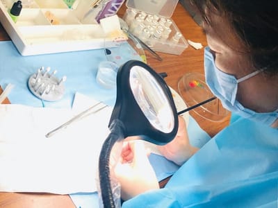 iSmile Dental Group LLC