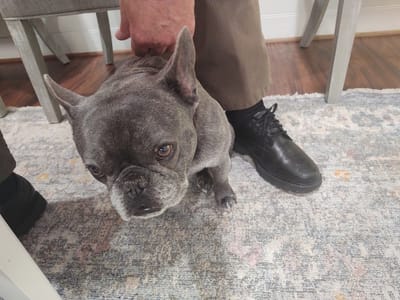 James River Family Dentistry