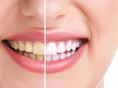 Jeffrey L. Erwin DDS