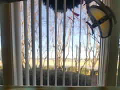 Johnson Dental Clinic