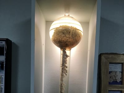 Johnson Gregory J DDS FAGD