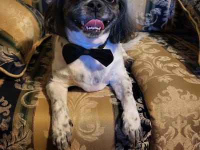 JR Dental Care - Normandy: Jacksonville's Comprehensive Dentists