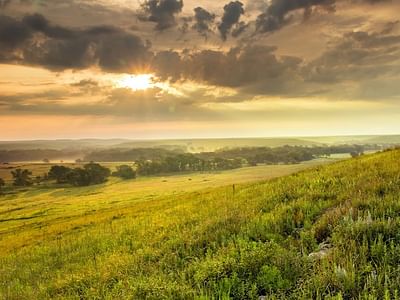 Justin R Kohlhorst DDS