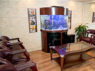 Kamel Dentistry: Plantation FL DENTIST 33322